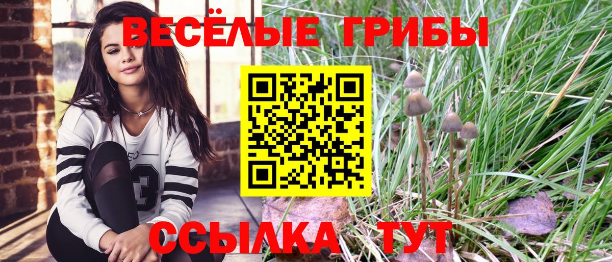 Галлюциногенные грибы прущие грибы Славгород