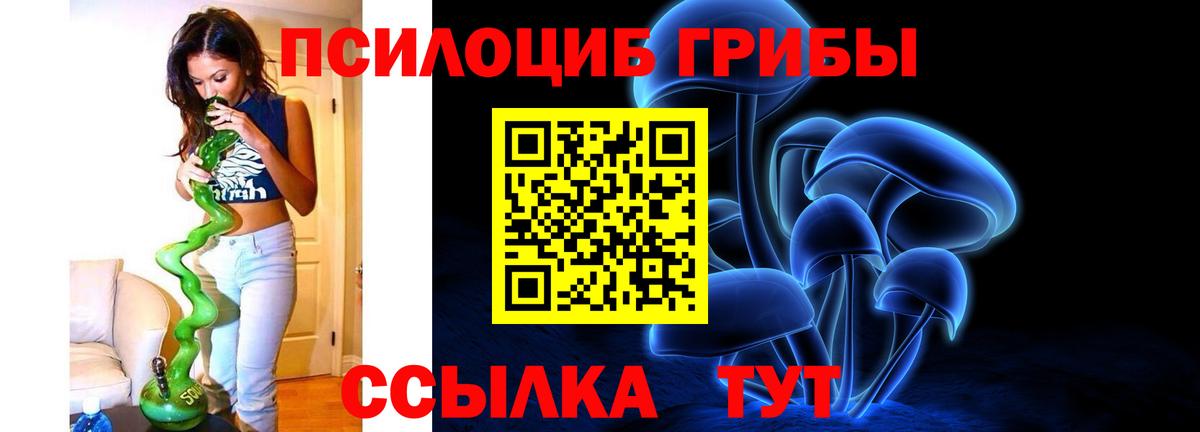Славгород  Псилоцибиновые грибы ЛСД  Галлюциногенные грибы ЛСД  Вход с VPN 